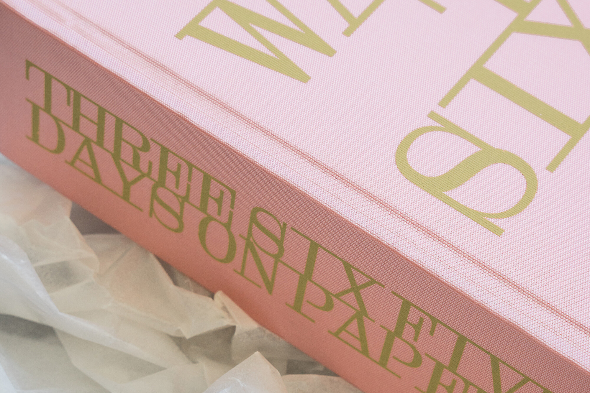 Nina Walton Artist Book / 365 Days on Paper